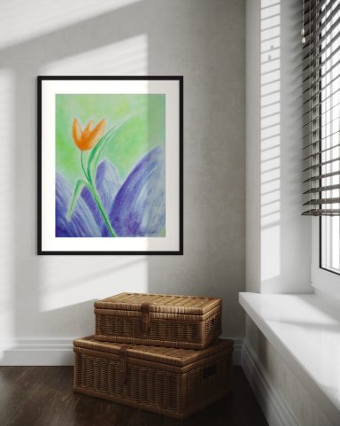 Tulpe Orange