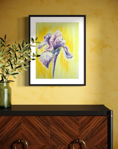 Iris