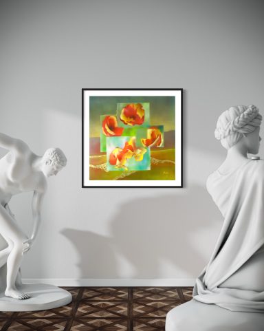 Mohn modern